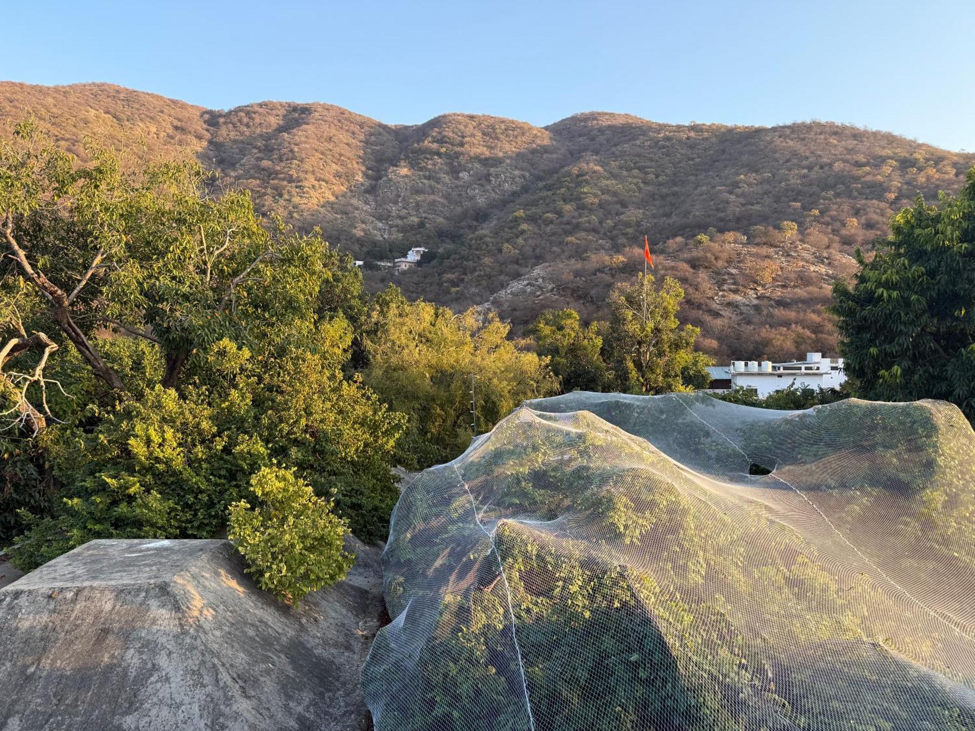 Hotel Green Heaven Resort Pushkar Esterno foto