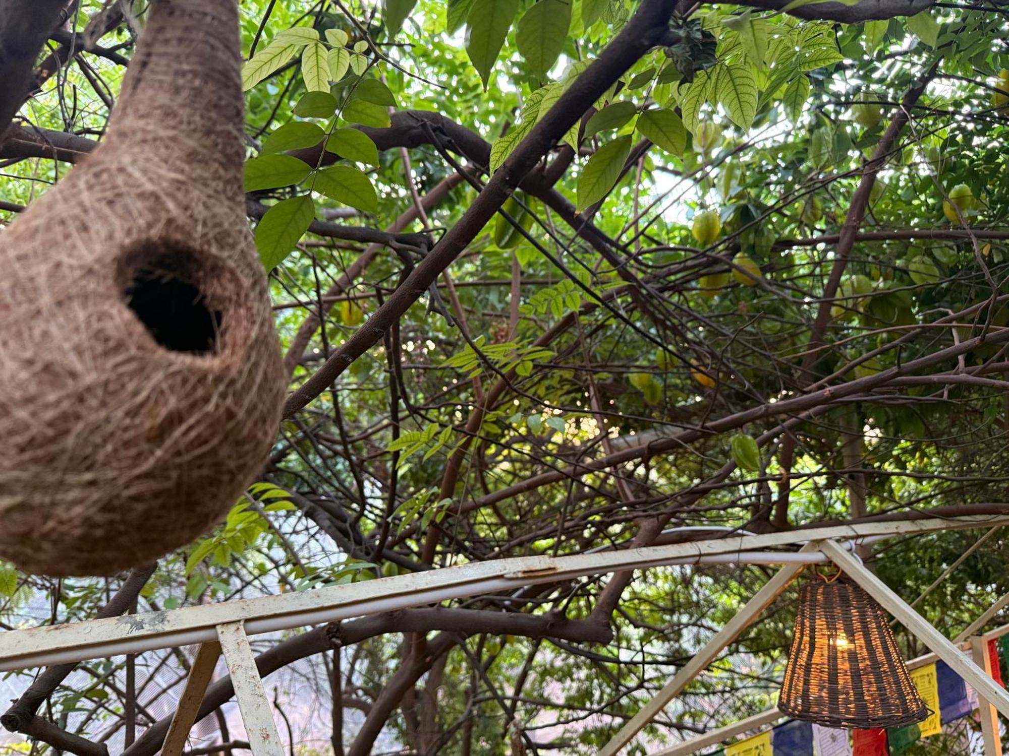 Hotel Green Heaven Resort Pushkar Esterno foto