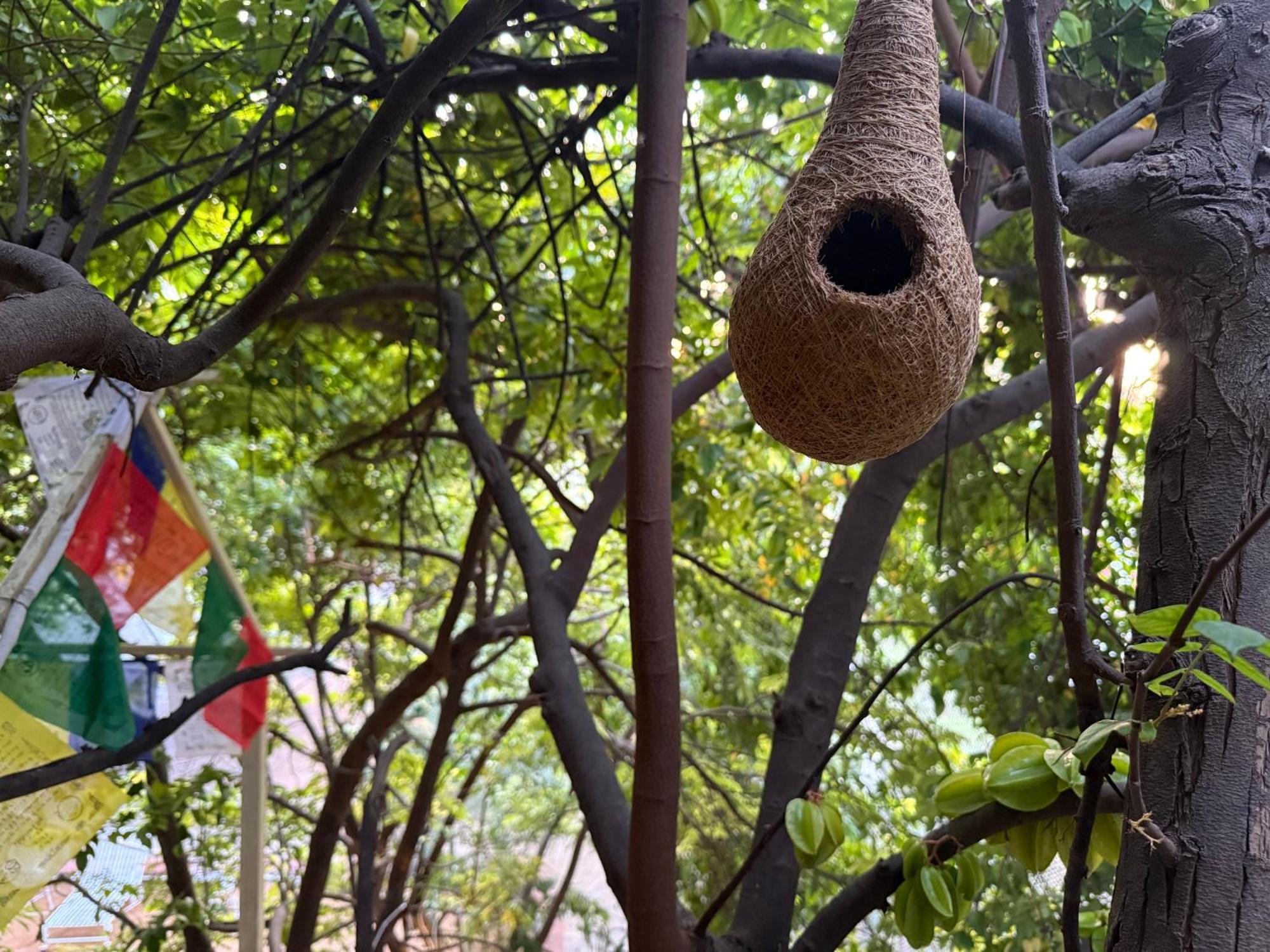 Hotel Green Heaven Resort Pushkar Esterno foto